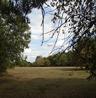 open area