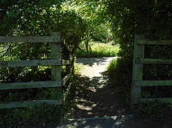 Way in from Barton Lane
