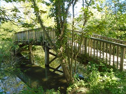 Bridge from Abbey Meadow