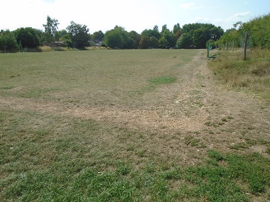 Open grass area