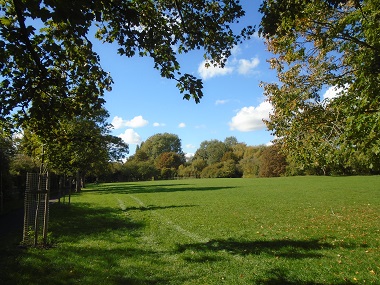 Open area