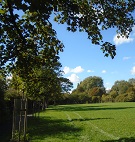 Open area