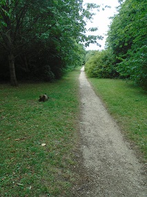 Long path
