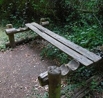 Rustic bench