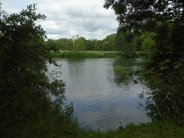 View across Thames