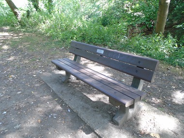 Bench