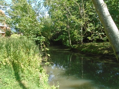 River Ock