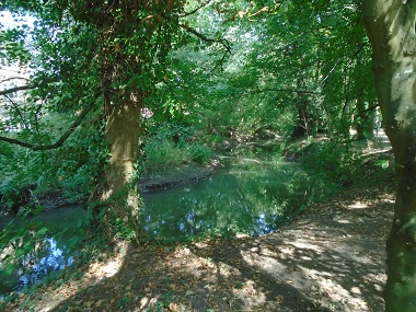 River Ock