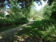 Path