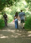 Walkers