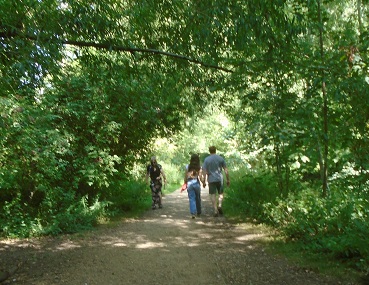 Walkers