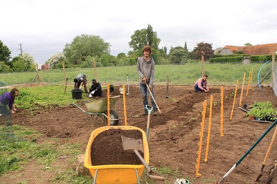 Digging and planting