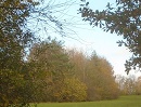 View of North Abingdon park area
